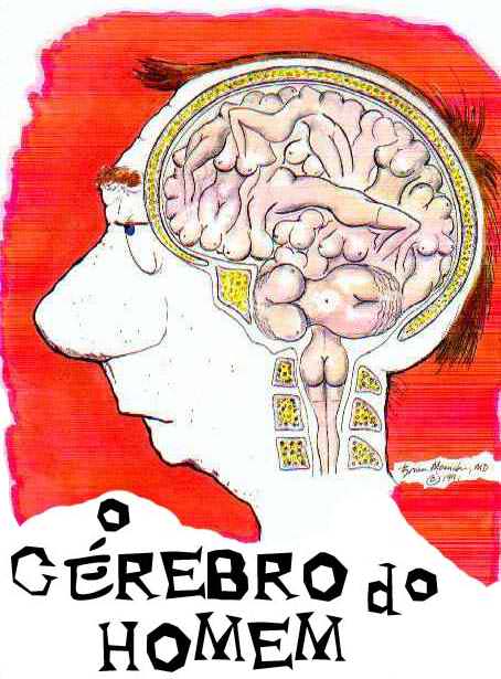CÃ©rebro masculino2