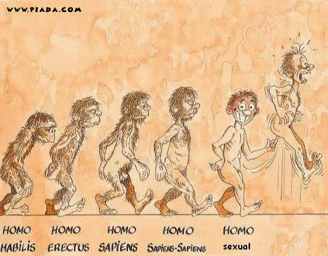 EvoluÃ§Ã£o do Homo Sapiens