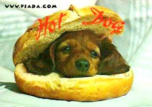 Hot dog 3