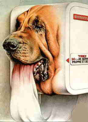 Papel higiÃªnico canino