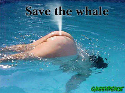 Salvem as baleias