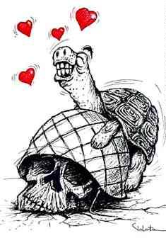 Tartaruga in love