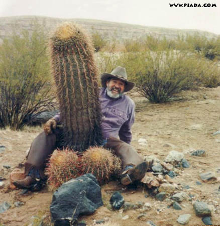 Cactus picante