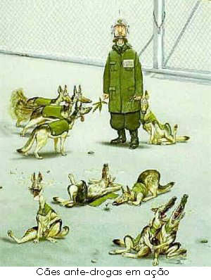 CÃ£es ante-drogas