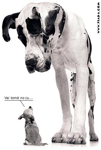 CÃ£o corajoso
