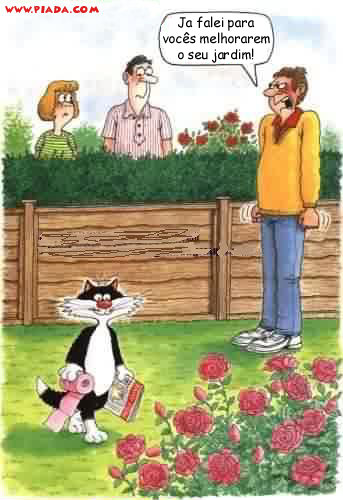 Gato bem ensinado