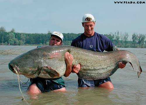 HistÃ³ria de pescador