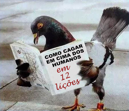 LiÃ§Ãµes para pombos