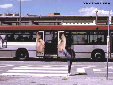 Ãnibus beijoqueiro