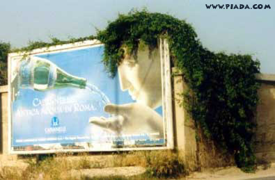 Outdoor cabeludo